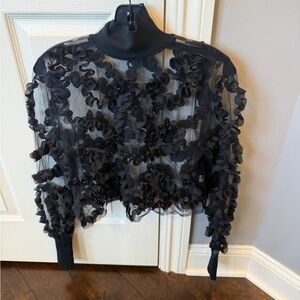 Zara Black Sheer Mockneck Top